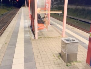 Miley-Weasel Porno Video: Krass !! Geile Schlampe mitten am Bahnhof gefi**t !!!